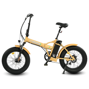 Ecotric 48V Fat Tire Portable and Folding Electric Bike with LCD display-senior