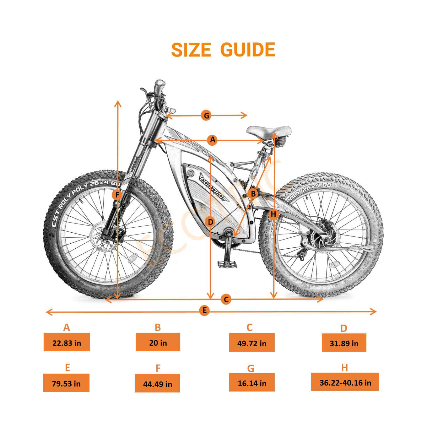 big fat tire ebike Bison-junior - 5