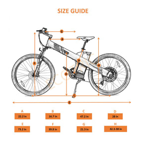 Seagull Electric Mountain Bicycle -senior - 2