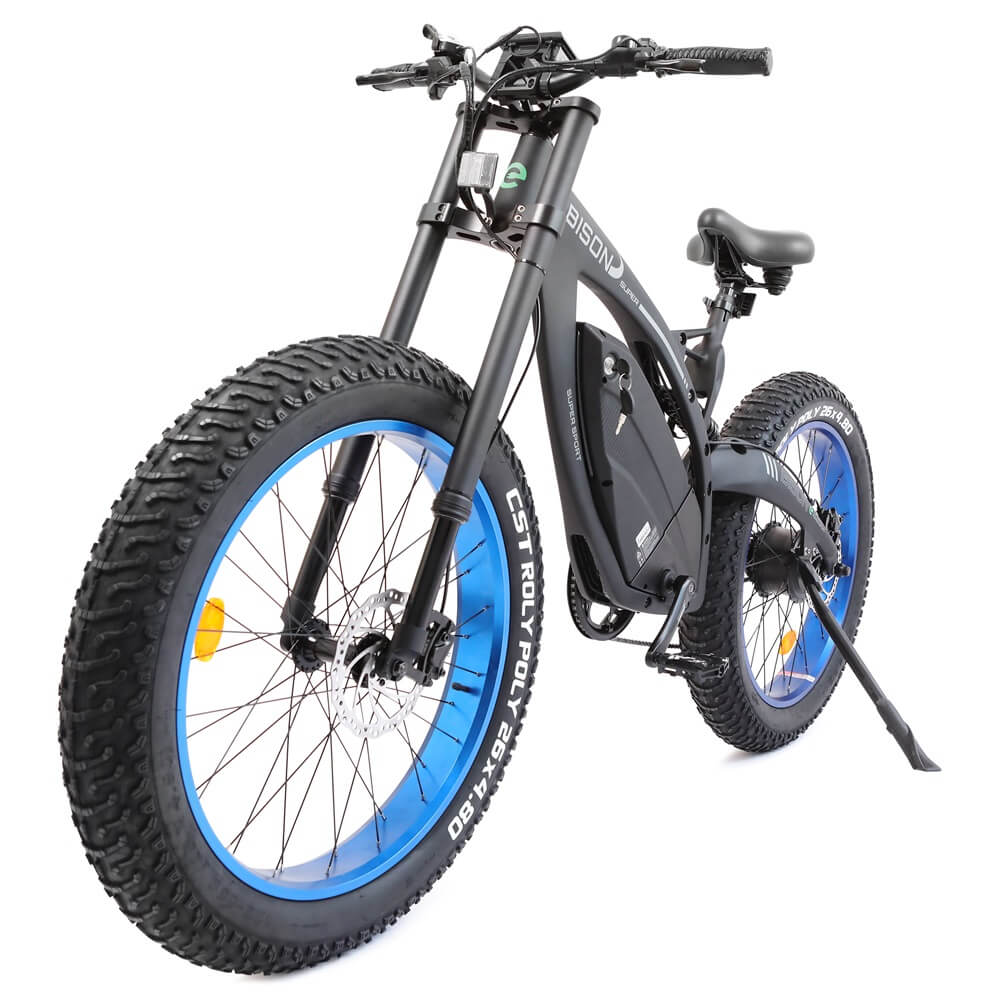 big fat tire ebike Bison-senior - 3