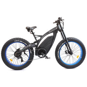 big fat tire ebike Bison-junior - 4