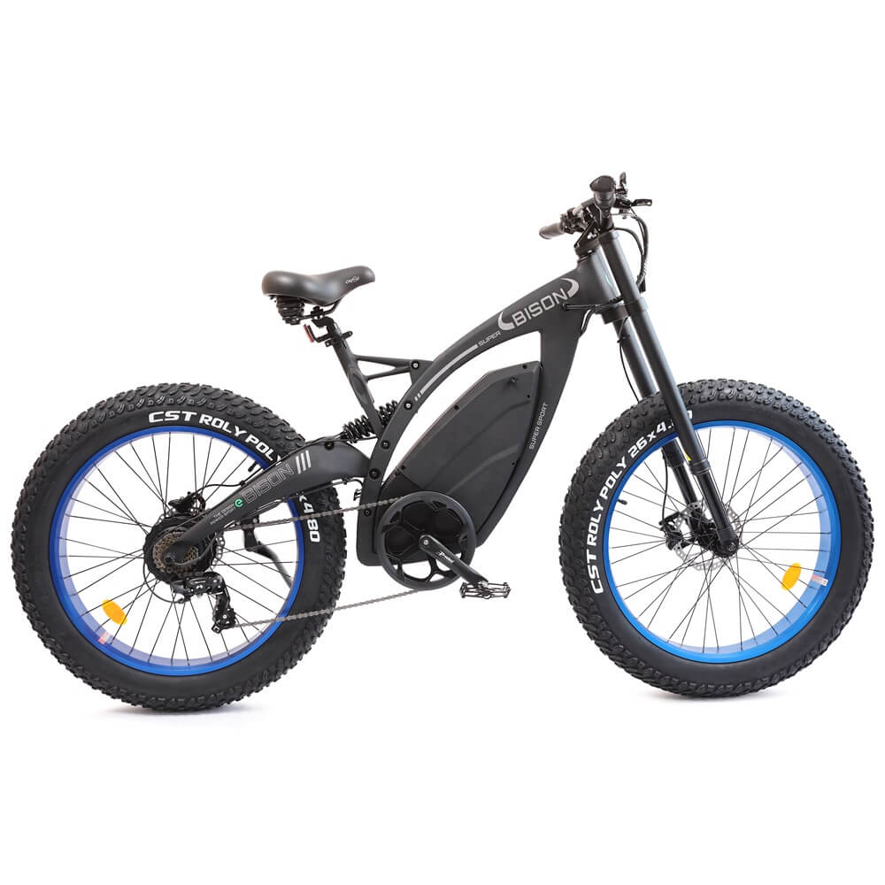 big fat tire ebike Bison-senior - 4