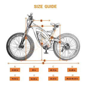 big fat tire ebike Bison-senior - 5